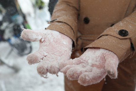 Обморожение: лекарства, используемые при лечении - МИС Аптека 